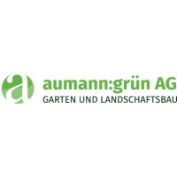 aumann:grün AG logo - Similar company to Future Frames