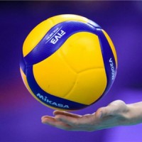 Professional Volleyball logo - Similar company to Iim Gmbh