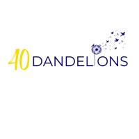40 Dandelions logo - Similar company to Wp Master