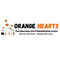 Orange Hearts logo - Similar company to Ayndhaminfo