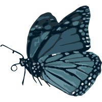 Chrysalead logo - Similar company to Au Cocon De Soi