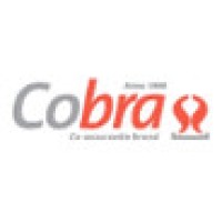 Cobra 1998 logo - Similar company to Detadata B.V.