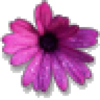 Space2Talk Ltd logo - Similar company to Space2C