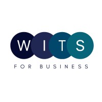 WITS logo - Similar company to Lahdaa