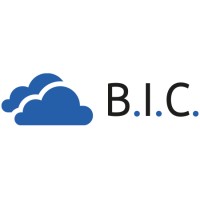 B.I.C. GmbH logo - Similar company to Nirvana Aarogyam
