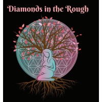 Diamonds in the Rough, Incorporated logo - Similar company to Rough Diamonds Inc