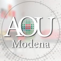 Azienda Ospedaliero-Universitaria di Modena logo - Similar company to Rama