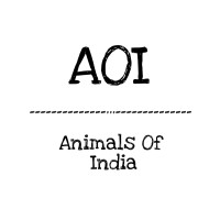 Animals Of India logo - Similar company to Nikulsan