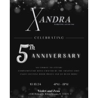 Xandra Marketing logo - Similar company to Amit Global