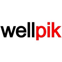 Wellpik Infra Pvt.Ltd. logo - Similar company to Wellpik Technologies Pvt.Ltd