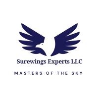 SUREWINGS EXPERTS FZ LLC logo - Similar company to Afrocon