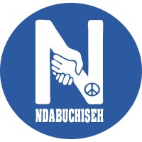 Ndabuchiseh logo - Similar company to The Vision