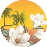 Dennis Rose Studios logo - Similar company to Musictaste