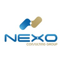 Nexo Consulting Group / Ingexo Spa logo - Similar company to Redbee Studios
