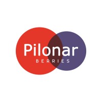 PILONAR BERRIES logo - Similar company to Hudisa