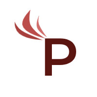 Phoenix Data Consulting logo - Similar company to Quint Systems