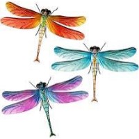 Dragonfly Software logo - Similar company to Rschool
