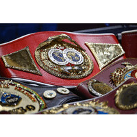 Thornberry Boxing Promotions Gym logo - Similar company to Ve Management