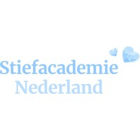 Stiefacademie Nederland logo - Similar company to Mstrwrk