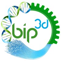 Bip3D -  Biologie Ingénierie Par Impression 3D