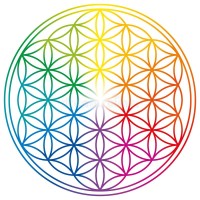 EVOLVE Media & Marketing logo - Similar company to Proxsimity Inc.
