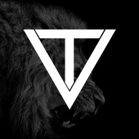 Triple Verge logo - Similar company to Plugzone