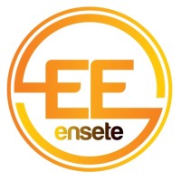 Ensete Electronics LLC logo - Similar company to Hoyapay