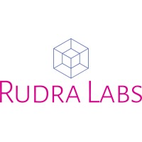 Rudra Labs Pte Ltd logo - Similar company to Ultron Connect Pte Ltd