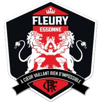 FC FLEURY 91 logo - Similar company to Gpso 92 Issy