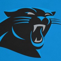 Carolina Panthers logo - Similar company to Washington Commanders