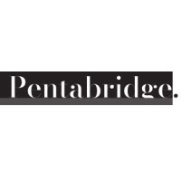 Pentabridge logo - Similar company to Pentaknot Solutions