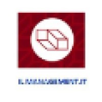 Il Management logo - Similar company to Emanuele Veneziani - Digital Marketing Consultant