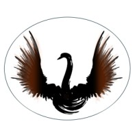 Black Swann Consulting Group logo - Similar company to Accelera