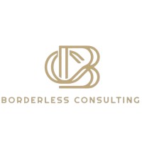 Borderless Consulting logo - Similar company to Caadp Namibia