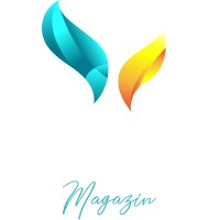Aufguss Roots Magazin logo - Similar company to Bewellness