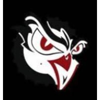 Team Phoenix logo - Similar company to Tinrec