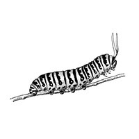 LUCIHU marketing studio logo - Similar company to Intymyta
