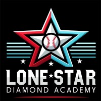 Lone Star Diamond Academy logo - Similar company to In Collaborative