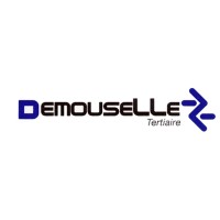 DEMOUSELLE Tertiaire Abbeville logo - Similar company to Techni-Isol Idf
