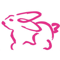 Sands Swim logo - Similar company to Flagpole Swim