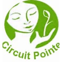 Circuit Pointe logo - Similar company to Federal University