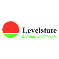 Levelstate Systems Ltd logo - Similar company to Hiretech Solutions