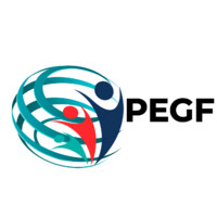 Pamela Eze Global Foundation logo - Similar company to Grynd Tech Inc.
