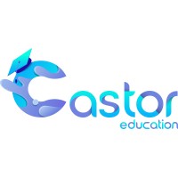 Castor Education logo - Similar company to Ns+R
