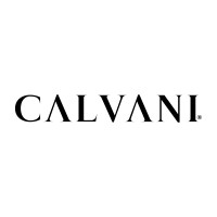 Calvani Group logo - Similar company to Let'S Develop Eg
