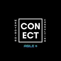Conect Agile - IT Consulting logo - Similar company to Easy Inventory