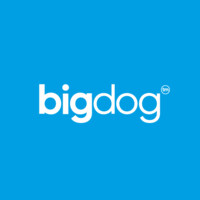 bigdog Agency logo - Similar company to Krow Group