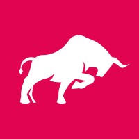 BMG - BULLS MARKET GROUP logo - Similar company to Viracocha
