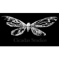 Cicadas Studios logo - Similar company to Iron Mountain Studios