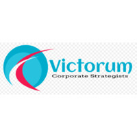 Victorum Corporate Strategists logo - Similar company to Hike Doggie